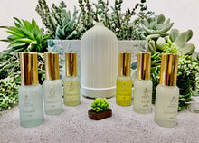 Load image into Gallery viewer, 100% Pure and Natural Essential Oils Gift Box Set with Diffuser - White
