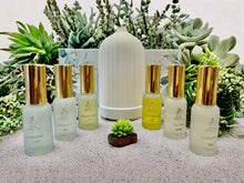 Load image into Gallery viewer, 100% Pure and Natural Essential Oils Gift Box Set with Diffuser - White